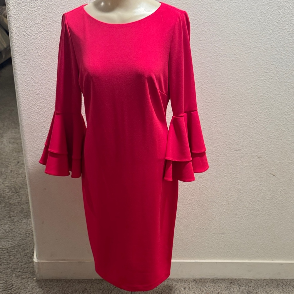 Elegant Fucshia Ruffle Sleeve Dress